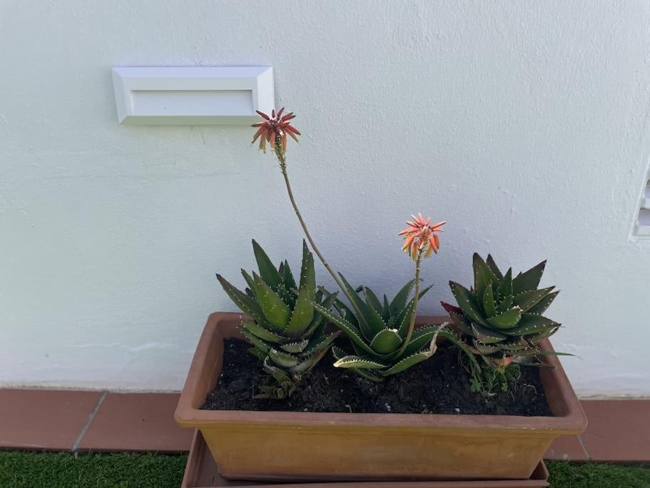 Casa Lola Conil, Azotea Al Mar Y Parking Solo Familias O Parejas Conil De La Frontera Exterior foto